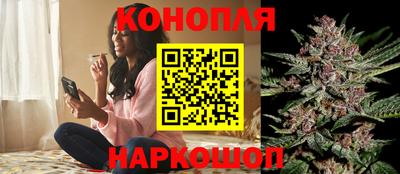 дурь Будённовск