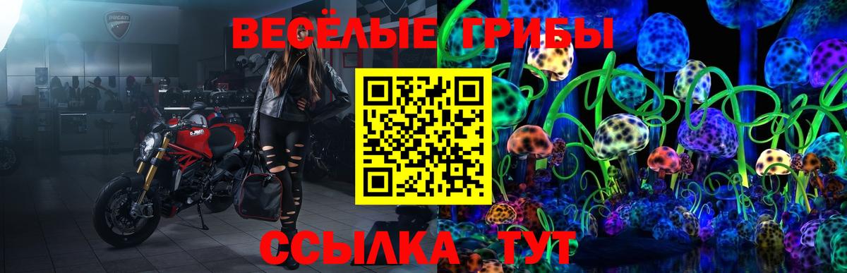 Пыть-Ях  Псилоцибиновые грибы Magic Shrooms  Вход с VPN 
